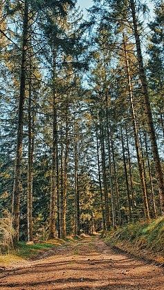 Nature et Panoramas sur le lac