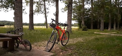AU BOIS DES MOINES - VTT-FFC 7 - Valence-sur-Baïse