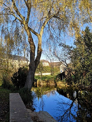 La Boucle des Jardins - Station de Trail