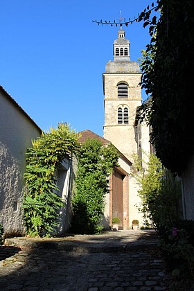 Le sentier botanique des Rinsillons