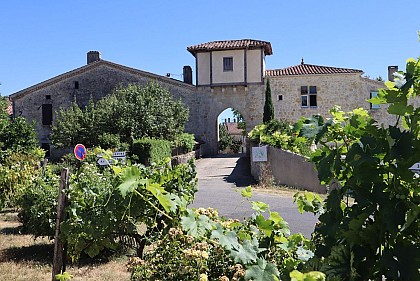 AUTOUR DE MAIGNAUT-TAUZIA - PR 29 - Maignaut-Tauzia