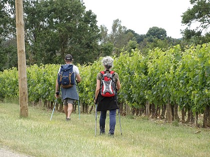 LES CHÂTEAUX GASCONS DE LA TÉNARÈZE - PR 24 - Mansencôme/Cassaigne/Valence-sur-Baïse