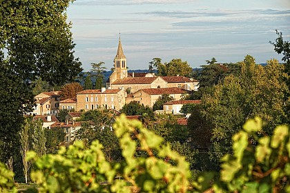 VIGNE ET GASTRONOMIE - PR 8 - Cassaigne