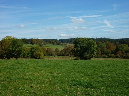 Du Plateau des Tailles à Bernistap - Tronçon 1 Houffalize - Les Tailles