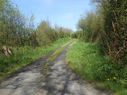 Saint-Jean-de-Daye : Halage et marais