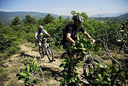 Le Tour des Jas n°19 - ROUGE - Base VTT FFCT Val de Durance