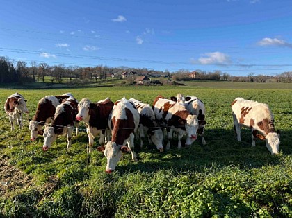 Petite boucle des Paysages des Lanches