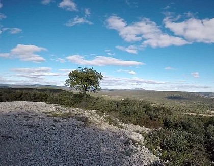 Bois de la Rouvière / Bois de Nasse