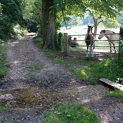 Sentier de l'eau vive