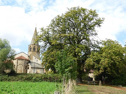 PR12 : Balade vivifiante Saint-Priestaine