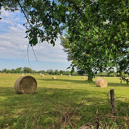 PR30 : La Ronde Angéloise