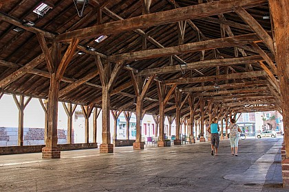 沙龙河畔沙蒂永探索之旅