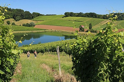 Aydie, promenade Joseph Peyré, au cœur du vignoble