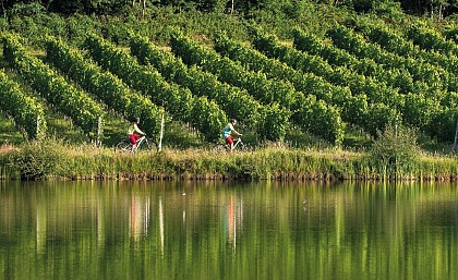 Aydie, au cœur du vignoble à VTT