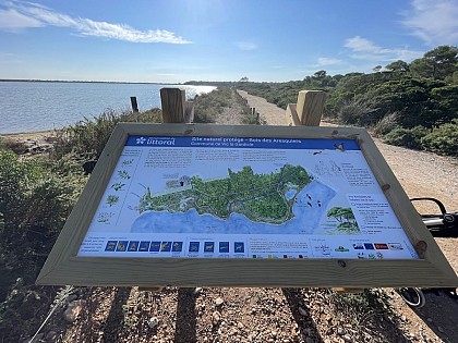 Des Aresquiers à la Pointe d'Ingril