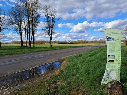 Balade thématique histoire et nature