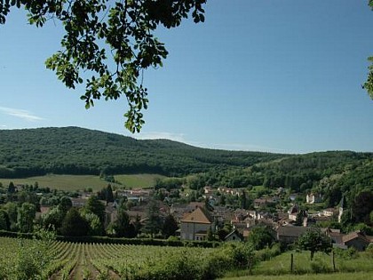 Sur les sentiers du Sud Bourgogne - De Tournus à Lugny