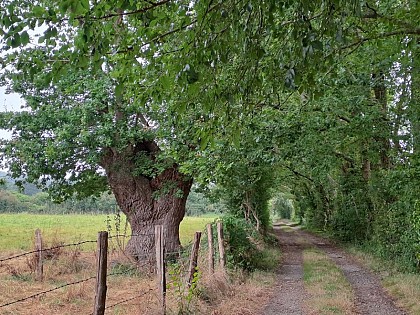 Autour du Bois de Saint-Georges