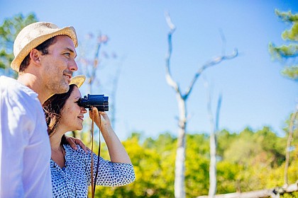 Les Près-Salès d'Arès et de Lège - Réserve Naturelle