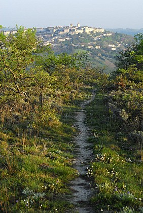 Balades et randonnées : Les moulins du Quercy Blanc à Lauzerte