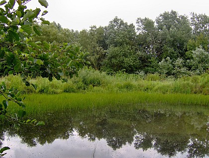 Sentier de la Fontaine Bleue à Mouscron