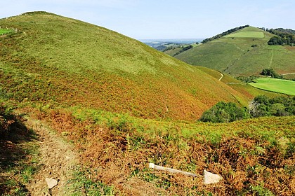 VTT N°1 -  Piémont de Barétous