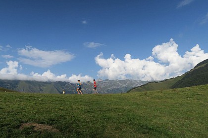 N°24 Trail de Bergout