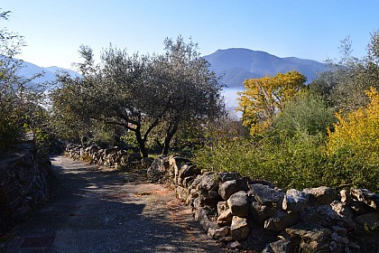 De Saint Martin de l'Arçon au plateau du Caroux
