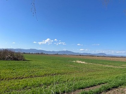 Second World War memorial trail