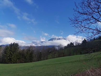 Le chemin de halage à Bluffy