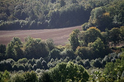 Circuit des bois