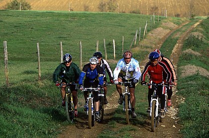 SENTIER DES LIMACS - VTT-FFC 8 - Lectoure