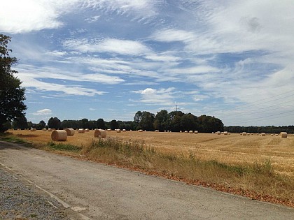 Marchin Tout Terrain