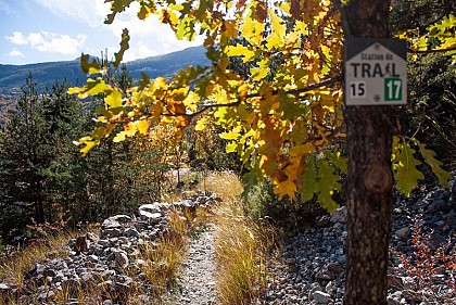 Trail N°17 - La Balade du pêcheur
