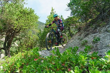 VTT N°06 - Circuit du Grand Parcher