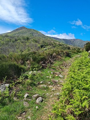 Serre de la Toureille