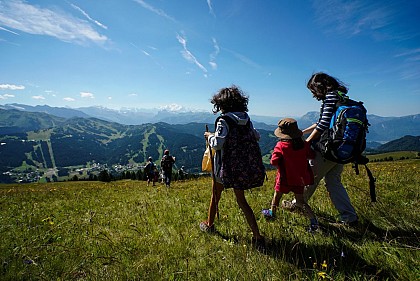 Boucle pédestre - Mont Chéry par Col de Lachat depuis Mont Caly