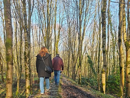 Circuit de la Ville à la Forêt