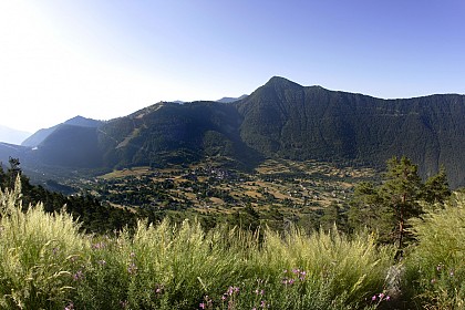 Circuit Joëlette - Le Bois Noir