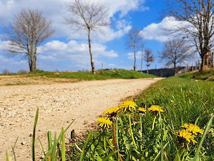 Le Domaine de Chignac