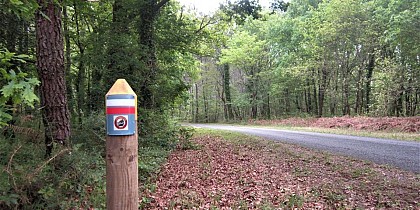 Circuit pédestre Mémorial - Le Frankton