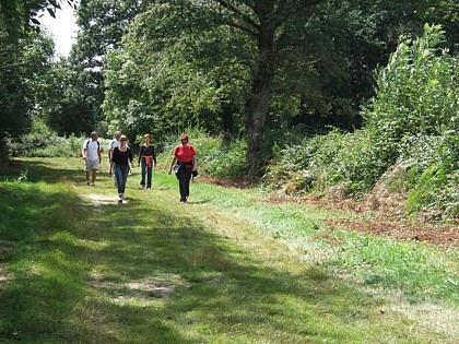 Circuit pédestre n°104 "au creux des chemins"