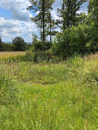 Circuit pédestre n°105 "au détour du fourré garlé"