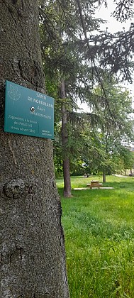 SENTIER BOTANIQUE "TULIPIER"