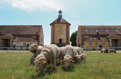 Huttopia Rambouillet : La Bergerie Nationale et le château