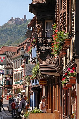 Discovery tour of Ribeauvillé