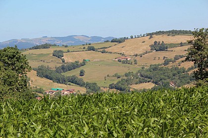Circuit VTT n°104 rouge : Le Crêt d'Arjoux