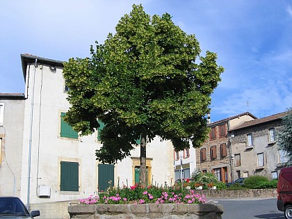 Circuit VTT n°119 rouge : Le braquet bédouin