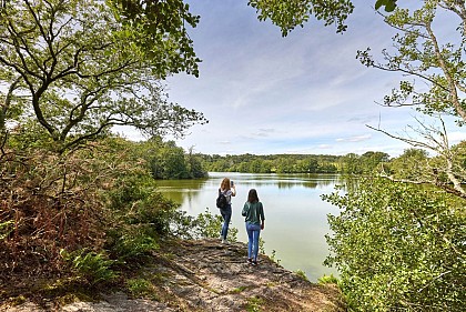 Muzillac: circuit de l'étang de Pen Mur