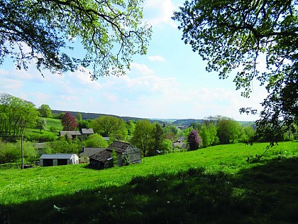 Day Hike Houffalize - Ardennes plateau and hisorical paths